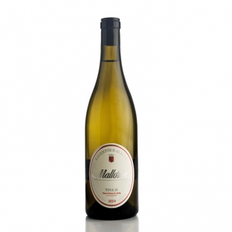 seccion-vinos-blancos_medium.jpg