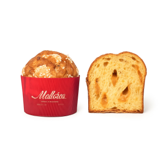 20251113_090437_panettone-dulce-leche-2025_medium.jpg