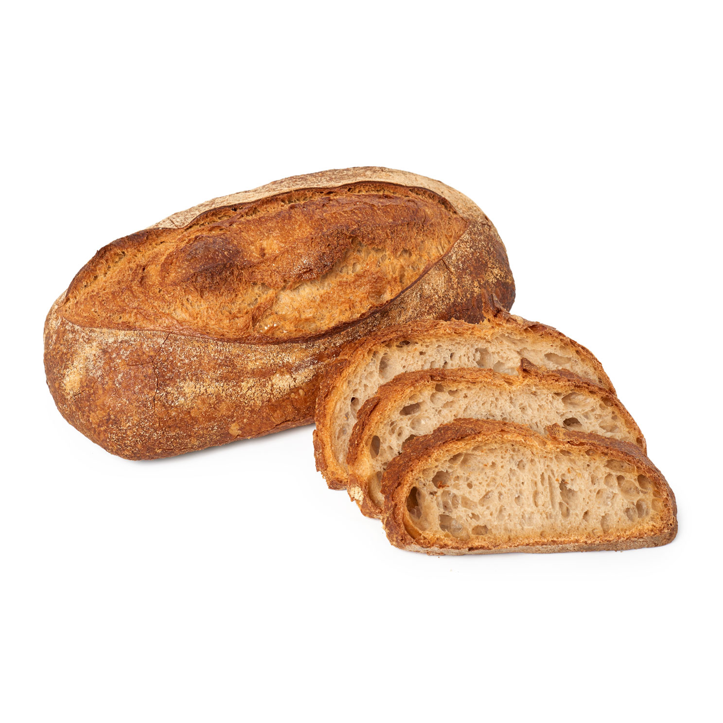 hogaza-masa-madre-sept23.jpg