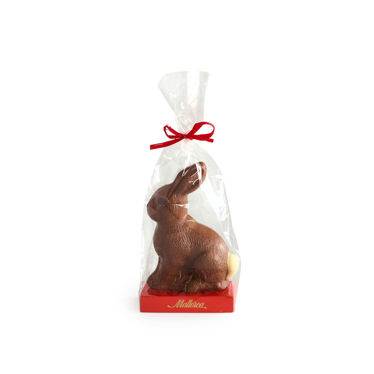 20250321_095011_conejo-pascua-sentado-marzo25.jpg
